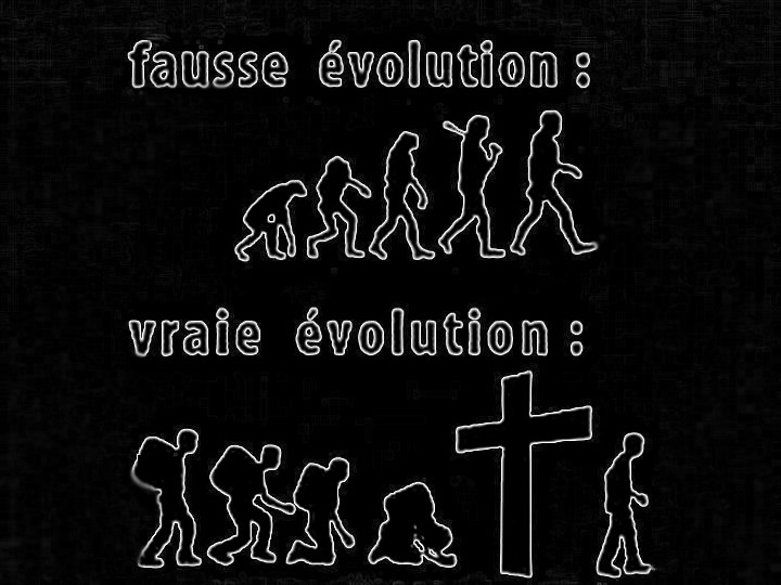 /blog/images/fausse_evolution